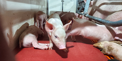 車輛洗消中心設(shè)計(jì)要求（規(guī)劃要求）？